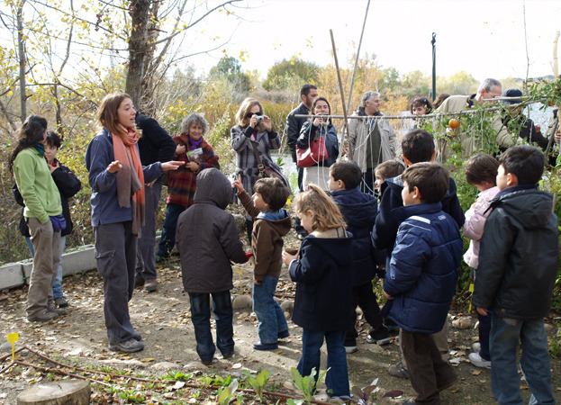 Cómo educar sobre medio ambiente o sobre ese «patrimonio natural de Madrid que desconocemos los capitalinos»